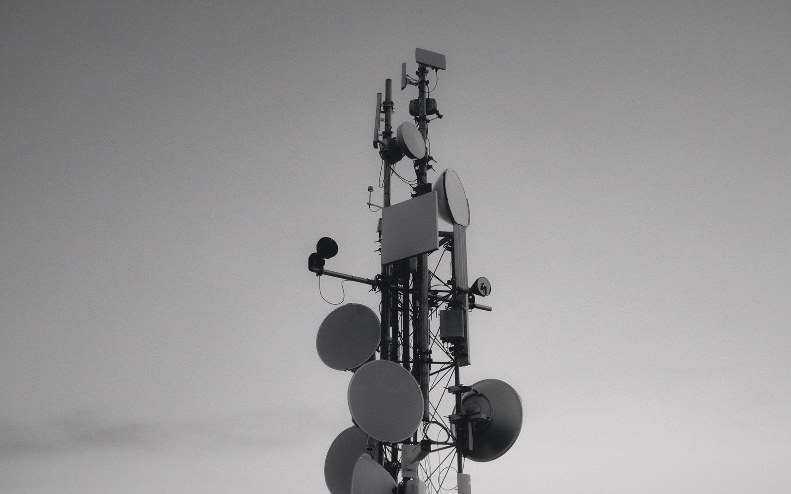 Putting a Network on the Ground