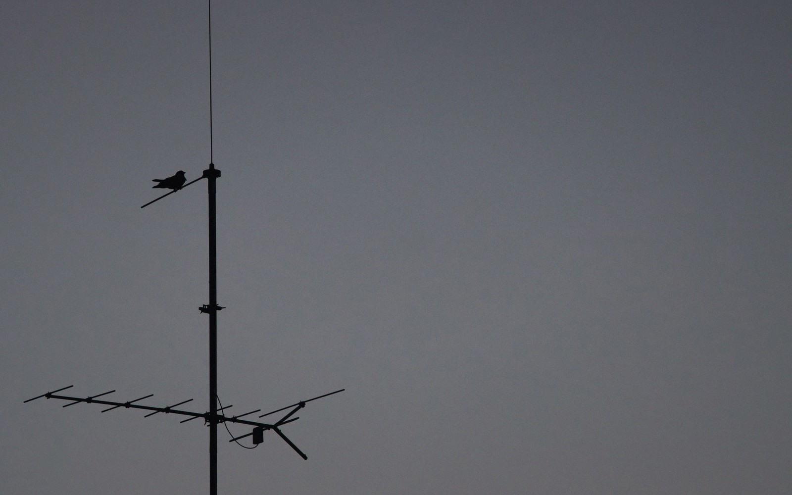 How Spectrum Gets Divided